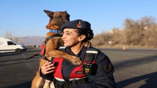 JAKEMde görev köpekleri zorlu görevlere hazırlanıyor