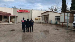 Jasat, sahte jandarmayı kısa sürede yakaladı