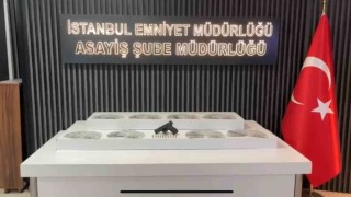 Kadıköyde emekli öğretmeni 117 bin dolar dolandıran 4 kişi tutuklandı