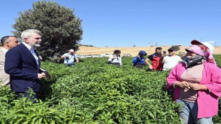 Kahramanmaraş Büyükşehirden 2025te çiftçiye 100 milyonluk destek