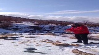 Kar yağışı Karacadağdaki yaban hayatını zorladı