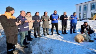 ‘Kar zahmet değil rahmet dediler, şükür koyunu kestiler