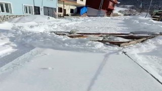 Karadenizli zekası