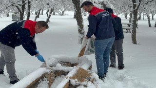 Karamanda yaban hayvanları ve kuşlar için doğaya yem bırakıldı