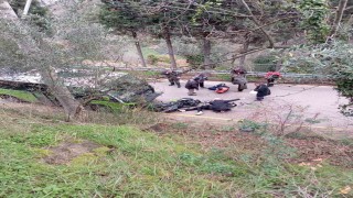 Karamürsel'de feci kaza: 20 yaşındaki genç hayatını kaybetti