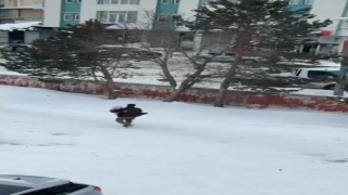 Karsta vefa dolu görüntü: Hasta annesini kucağında taşıdı
