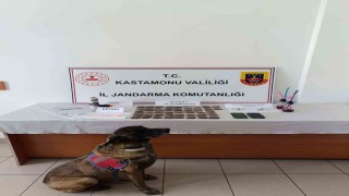 Kastamonuda uyuşturucu operasyonu: 1 tutuklama