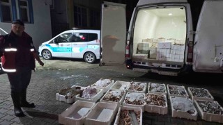 Kastamonuda yasa dışı avlanan 1,5 ton balığa el konuldu
