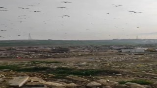 Katı Atık Tesisinde vahşi depolama yapan Bursa Büyükşehir Belediyesine 1.8 milyon TL ceza
