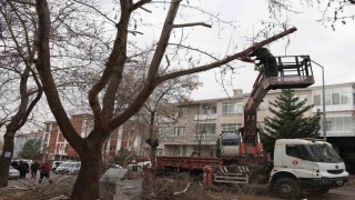 Keçiören Belediyesi, park ve yeşil alanlardaki bakım çalışmalarına devam ediyor