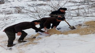 Kemahta yaban hayatı unutulmadı