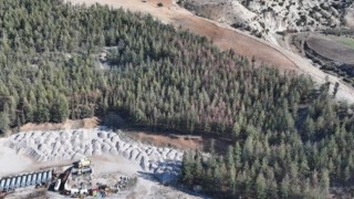 Kiliste Akdeniz çam kabuk böceğine karşı biyoteknik mücadele