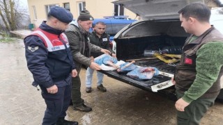 Kırklarelide yasa dışı karaca avına ağır ceza