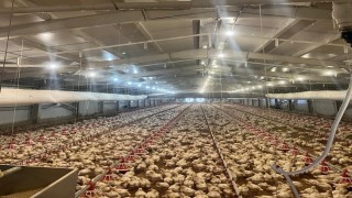 Kırsalda üretime 33,6 milyon liralık can suyu