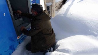 Kışın en sert yüzü Bitliste