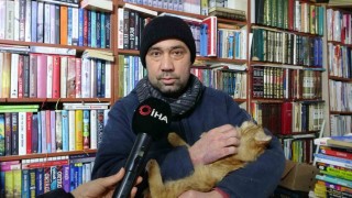 Konteynerde hayata tutunan sahaf, sokak kedilerini yalnız bırakmadı