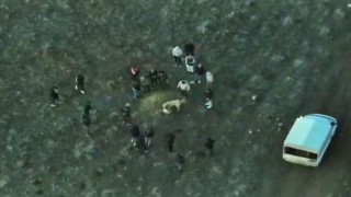 Köpek dövüştüren şahıslara jandarmadan dronlu baskın