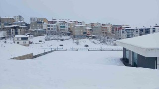 Kulpta beyaz esaret