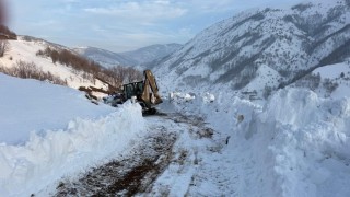 Kulpta kış yüzünü sert gösterdi