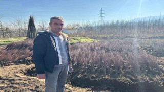 Kurulan her meyve bahçesinde Bursa imzası var