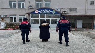 Kuyucakta terör örgütü üyesi yakalandı