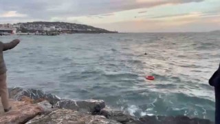 Maltepe sahilinde denize giren şahıs boğuldu