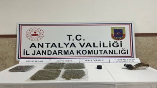 Manavgatta uyuşturucu operasyonu