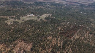 Mardin Büyükşehir Belediyesinden Derik zeytini için dal kanserine karşı mücadele