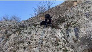 Mardinde dağda mahsur kalan keçiyi AFAD ekipleri kurtardı