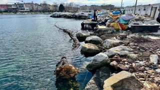 Marmara Denizinde feribot trafiği için tehlike oluşturan yüzen ağaç kıyıya çekildi