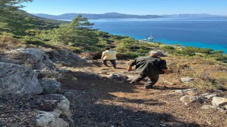 Marmaris Orman İşletme Müdürlüğünden yürüyüş yollarında temizlik
