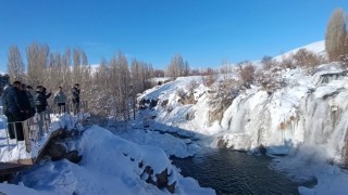 Muradiye Şelalesi buz tuttu