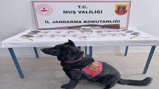 Muşta uyuşturucu operasyonu: 5 şüpheli tutuklandı