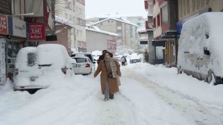 Muşta yoğun kar yağışı hayatı olumsuz etkiledi