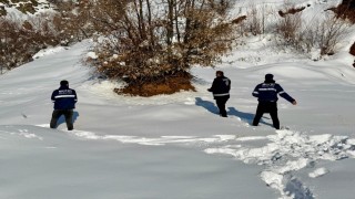 Mutki Belediyesi zorlu kış şartlarında yaban hayatını unutmadı