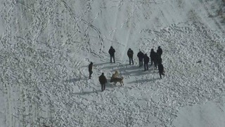 Nevşehirde köpek dövüşüne jandarma baskını