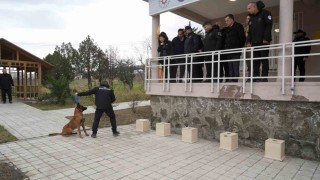 OMÜde yetiştirilen görev köpeği Pars, Samsun Emniyetine teslim edildi