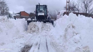 Orduda kardan kapanan 692 mahalle yolu 1 günde ulaşıma açıldı