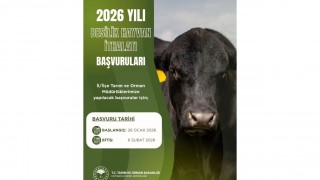 Osmaniye’de Besilik Hayvan İthalatı Başvuruları İçin Yeni Takvim