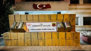 Osmaniyede durdurulan tırda 1 milyon liralık kaçak makaron ele geçirildi