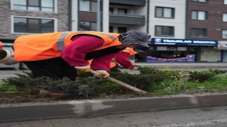 Park ve yeşil alanlarda peyzaj çalışmaları sürüyor