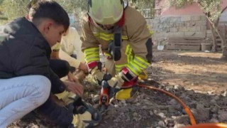 Patisi zincire sıkışan köpeğe hayat kurtaran müdahale