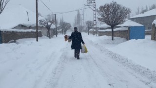 Patnosta kar yağışı yeniden etkisini gösterdi