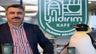 Penguen sürüden ayrılırken belediyeler boş durmadı