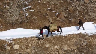 Prof. Dr. Lokman Aslan: Yaban hayvanlarına yiyecek bırakmak ekolojik dengeyi bozuyor