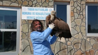 Prof. Dr. Lokman Aslandan kritik uyarı: Yaban hayatına müdahale merhamet değil tehlikedir