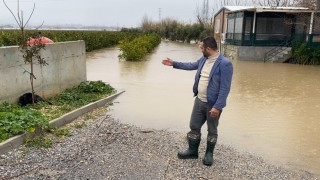 Sağanak sonrası evde mahsur kalan 4 köpek iş makinesiyle kurtarıldı