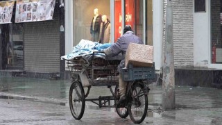Sakaryada lapa lapa kar yağışı etkili oldu