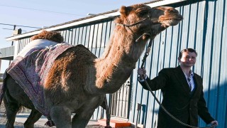 Sanatçı Mertcan Türkoğlu, Hi Jollynin Arizonadaki anıt mezarı başında anıldı