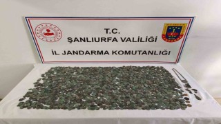 Şanlıurfada 2 bin 644 adet gümüş ve bronz sikke ele geçti